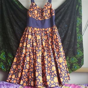 Florida orange bird again